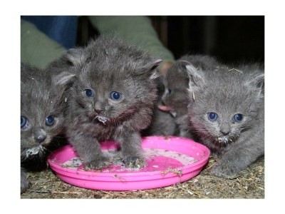 Holiday room Einzelzimmer mit Dusche, WC - Outdoor photo 6