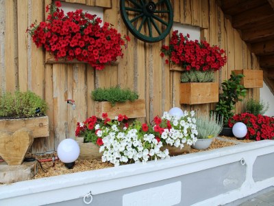 Apartment Apartment/1 Schlafraum/Dusche, WC,"Auerhahn" - Outdoor photo 29