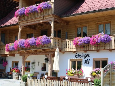 Apartment Apartment/1 Schlafraum/Dusche, WC,"Auerhahn" - Outdoor photo 30