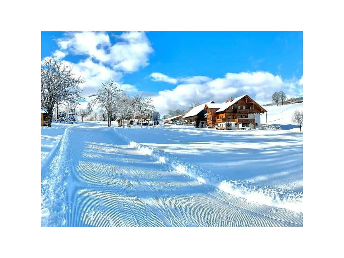 Apartment Apartment/ 1 Schlafraum,Dusche, WC , 50m²