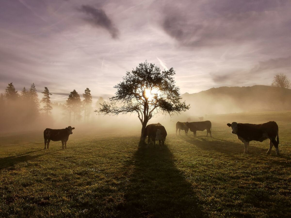 Apartment Apartment/ 1 Schlafraum,Dusche, WC , 50m² - Outdoor photo 2