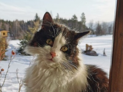 Apartment Apartment/ 1 Schlafraum,Dusche, WC , 50m² - Outdoor photo 7