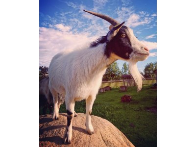 Apartment Apartment/ 1 Schlafraum,Dusche, WC , 50m² - Outdoor photo 8