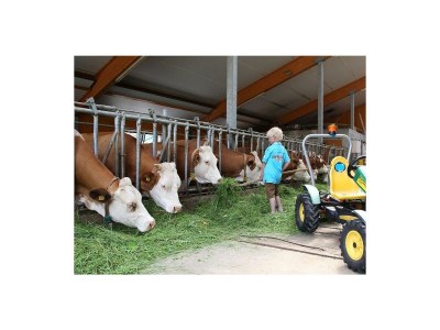 Apartment Apartment/ 1 Schlafraum,Dusche, WC , 50m² - Outdoor photo 10