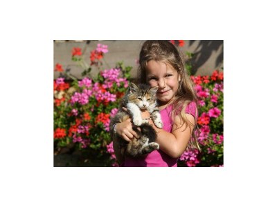 Apartment Apartment/ 1 Schlafraum,Dusche, WC , 50m² - Outdoor photo 18