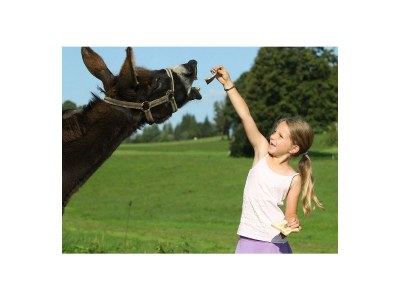 Apartment Apartment/ 1 Schlafraum,Dusche, WC , 50m² - Outdoor photo 19