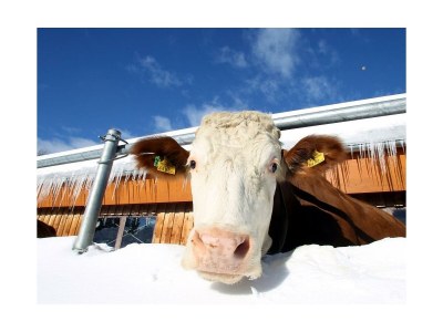 Apartment Apartment/ 1 Schlafraum,Dusche, WC , 50m² - Outdoor photo 25