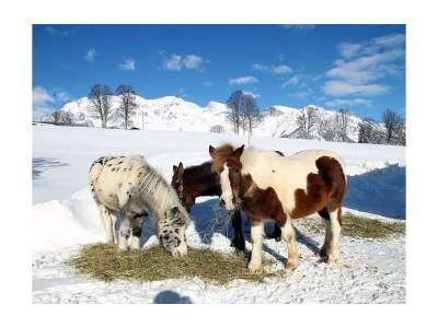 Apartment Apartment/ 1 Schlafraum,Dusche, WC , 50m² - Outdoor photo 28