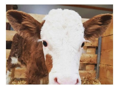 Apartment Apartment/ 1 Schlafraum,Dusche, WC , 50m² - Outdoor photo 32