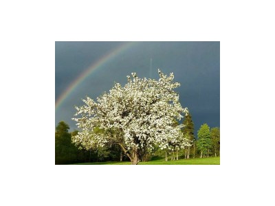 Apartment Apartment/ 1 Schlafraum,Dusche, WC , 50m² - Outdoor photo 36