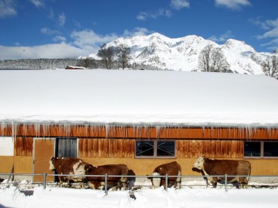 Apartment Apartment/ 1 Schlafraum,Dusche, WC , 50m² - Outdoor photo 42