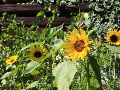 Apartment Apartment/ 1 Schlafraum,Dusche, WC , 50m² - Outdoor photo 50