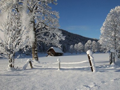 Apartment Apartment/ 1 Schlafraum,Dusche, WC , 50m² - Outdoor photo 52
