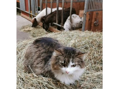 Apartment Apartment/ 1 Schlafraum,Dusche, WC , 50m² - Outdoor photo 53