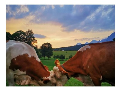 Apartment Apartment/ 1 Schlafraum,Dusche, WC , 50m² - Outdoor photo 55