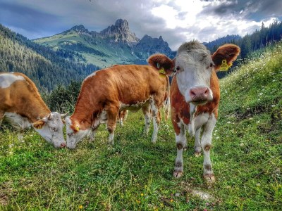 Apartment Apartment/ 1 Schlafraum,Dusche, WC , 50m² - Outdoor photo 57