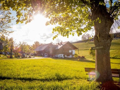 Apartment Apartment/ 1 Schlafraum,Dusche, WC , 50m² - Outdoor photo 62