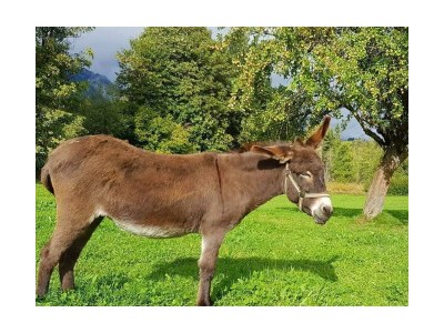 Apartment Apartment/ 1 Schlafraum,Dusche, WC , 50m² - Outdoor photo 65