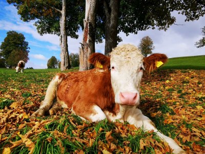 Apartment Apartment/ 1 Schlafraum,Dusche, WC , 50m² - Outdoor photo 68