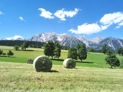 Apartment Apartment/ 1 Schlafraum,Dusche, WC , 50m² - Outdoor photo 71