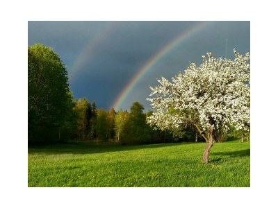 Apartment Apartment/ 1 Schlafraum,Dusche, WC , 50m² - Outdoor photo 72