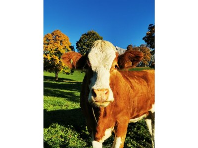 Apartment Apartment/ 1 Schlafraum,Dusche, WC , 50m² - Outdoor photo 78