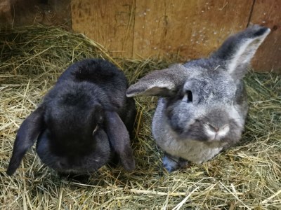 Apartment Apartment/ 1 Schlafraum,Dusche, WC , 50m² - Outdoor photo 81