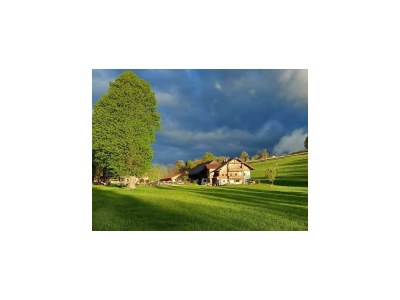 Apartment Apartment/ 1 Schlafraum,Dusche, WC , 50m² - Outdoor photo 91