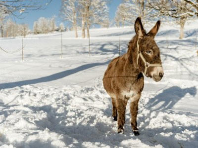 Apartment Apartment/ 1 Schlafraum,Dusche, WC , 50m² - Outdoor photo 103