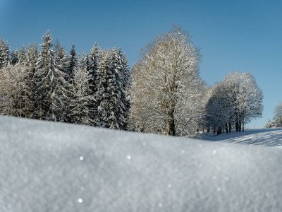 Apartment Apartment/ 1 Schlafraum,Dusche, WC , 50m² - Outdoor photo 104