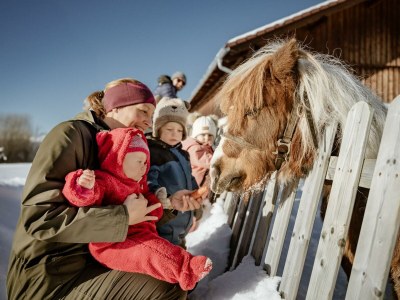 Apartment Apartment/ 1 Schlafraum,Dusche, WC , 50m² - Outdoor photo 106