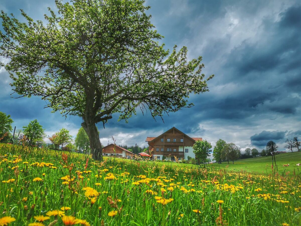 Apartment Apartment / 2 Schlafräume,Dusche, WC, 70m² - Outdoor photo 3