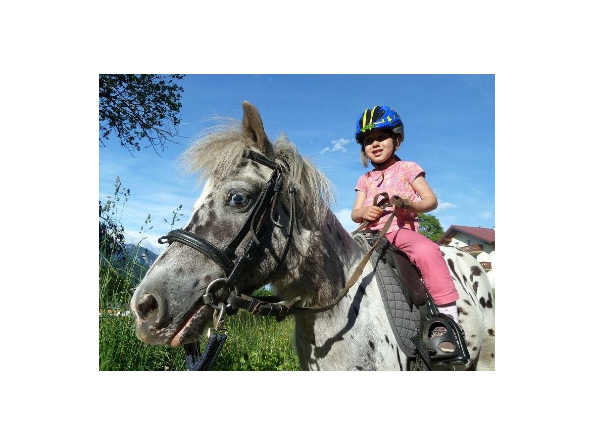 Apartment Apartment / 2 Schlafräume,Dusche, WC, 70m² - Outdoor photo 5