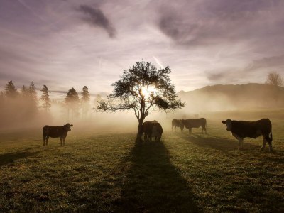 Apartment Apartment / 2 Schlafräume,Dusche, WC, 70m² - Outdoor photo 2