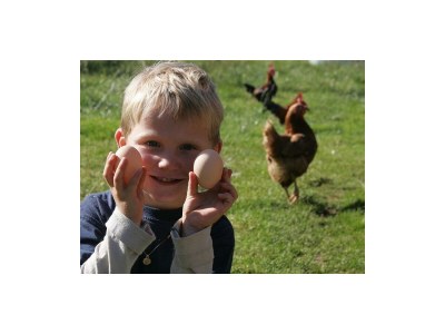 Apartment Apartment / 2 Schlafräume,Dusche, WC, 70m² - Outdoor photo 14