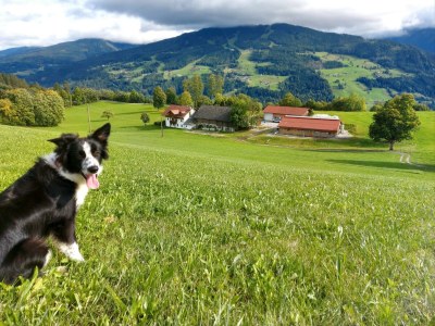 Apartment Apartment / 2 Schlafräume,Dusche, WC, 70m² - Outdoor photo 26