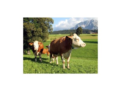 Apartment Apartment / 2 Schlafräume,Dusche, WC, 70m² - Outdoor photo 30