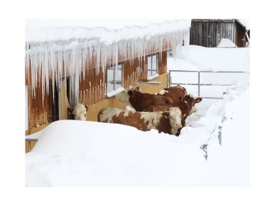 Apartment Apartment / 2 Schlafräume,Dusche, WC, 70m² - Outdoor photo 34