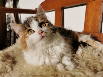 Apartment Apartment / 2 Schlafräume,Dusche, WC, 70m² - Outdoor photo 36