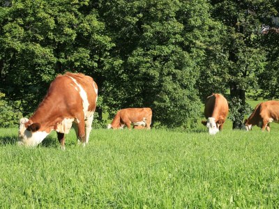 Apartment Apartment / 2 Schlafräume,Dusche, WC, 70m² - Outdoor photo 38