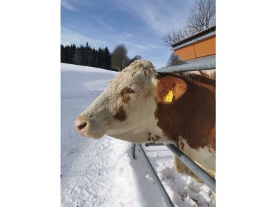 Apartment Apartment / 2 Schlafräume,Dusche, WC, 70m² - Outdoor photo 40