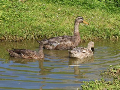 Apartment Apartment / 2 Schlafräume,Dusche, WC, 70m² - Outdoor photo 50