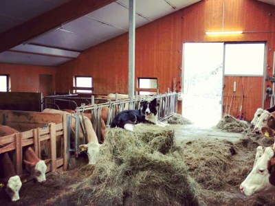 Apartment Apartment / 2 Schlafräume,Dusche, WC, 70m² - Outdoor photo 60