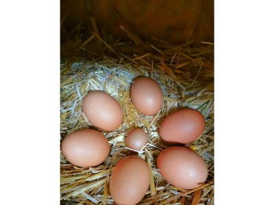 Apartment Apartment / 2 Schlafräume,Dusche, WC, 70m² - Outdoor photo 62