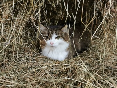 Apartment Apartment / 2 Schlafräume,Dusche, WC, 70m² - Outdoor photo 64