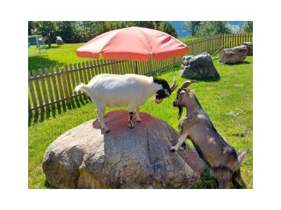 Apartment Apartment / 2 Schlafräume,Dusche, WC, 70m² - Outdoor photo 71