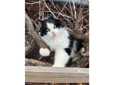 Apartment Apartment / 2 Schlafräume,Dusche, WC, 70m² - Outdoor photo 74