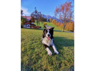 Apartment Apartment / 2 Schlafräume,Dusche, WC, 70m² - Outdoor photo 76