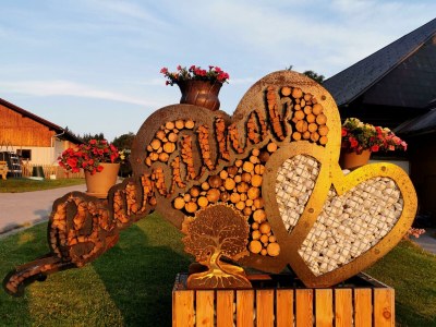 Apartment Apartment / 2 Schlafräume,Dusche, WC, 70m² - Outdoor photo 86