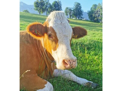 Apartment Apartment / 2 Schlafräume,Dusche, WC, 70m² - Outdoor photo 89